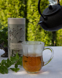 A black teapot pours herbal tea into a clear glass mug beside The Quiet Botanist Mellow Mint Tea Gift Set—featuring fresh mint leaves, a metal leaf tea steeper, and a tin—on a white tablecloth with greenery in the background.