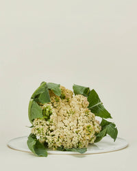A head of cauliflower with green leaves sits on the Simple Porcelain Serving Platter by Hawkins New York, set against a plain, light beige background.