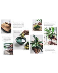 Wild Creations by Simon & Schuster guides you through making a decorative plant arrangement with moss, a bowl, hammer, nails, and greenery. Clear photos make it easy to create your own plant DIY project and enhance interior design.