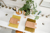 A bathroom counter with two sinks, a potted plant, soap dispensers, and two neatly folded towel sets, one yellow and beige, the other green and beige.