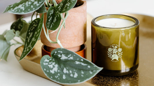 Candles & Home Fragrance