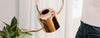 A person waters a green plant with a shiny copper watering can indoors.
