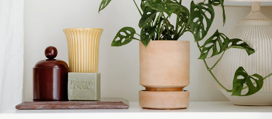 Planters