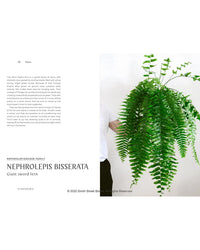 A person holds a large Nephrolepis bisserata (giant sword fern) against a white background; on the left, text from "Plantopedia" by Random House shares info about houseplants and plant care.