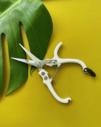 The Jungle Club Pruning Shears in White are displayed on a vibrant yellow surface next to a lush green monstera leaf, highlighting this essential gardening tool.