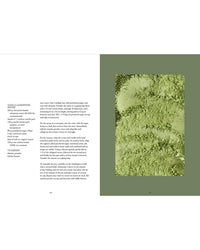 A cookbook spread from "Vegalicious Cheesecakes – Bakery-Style & Plant-Based" by Cozy Publishing shows a green background, close-up matcha powder photo, and a plant-based vanilla cashew/matcha bars recipe with ingredients and instructions.