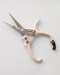 The Jungle Club Pruning Shears in Vanilla, featuring a spring mechanism and curved handle, lie open on a white background—a versatile gardening tool for any plant enthusiast.
