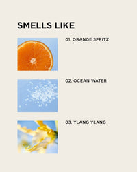 A graphic titled SMELLS LIKE displays three scent notes from Rosie Jane's Beach Baby Body + Hair Perfume Mist: sliced orange, sea salt crystals, and a yellow ylang ylang flower with matching text descriptions.