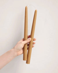 A hand holds two tan 12in Beeswax Taper Candles by The Floral Society, joined by a single wick, against a simple light background.
