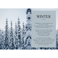 A snowy forest with tall pines blanketed in snow. On the right, a text box titled "Winter on a Plate" shares a poetic winter description inspired by Four Seasons of Cabin Cooking from Cozy Publishing.