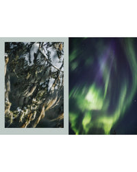 A split image for "Nordic Magic" by Cozy Publishing: left side shows snow-dusted, mossy branches symbolizing nature worship; right side displays swirling green and purple northern lights across a night sky.