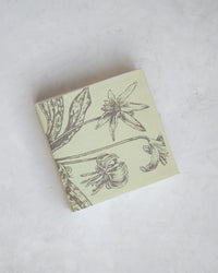 A square, pale green box of Hudson Valley Matches | Trout Lillies by The Floral Society, adorned with a black botanical flower and leaf illustration and made from sustainable materials, sits on a textured surface.