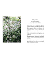 An image from "Living with Herbs" by Cozy Publishing shows blooming marjoram with pale purple flowers and green leaves, highlighting the beauty of homegrown herbs, alongside a detailed description on a white background.