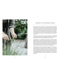 A person harvests fresh herbs in a garden with scissors, hands collecting lavender. The background is blurred greenery. On the right, "Living with Herbs" by Cozy Publishing shares tips on harvesting and growing your own herbs.