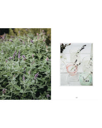 Left: A lush sage patch with purple blooms outdoors, ideal for herb gardening. Right: Pastel glasses on white, each topped with lavender. Discover more herbal inspirations in "Living with Herbs" by Cozy Publishing.