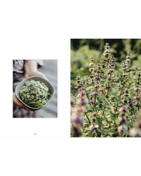 Left: A person holding a bowl of fresh herbs. Right: Tall, flowering herb plants outdoors—showcasing the rewards of herb gardening, inspired by “Living with Herbs” from Cozy Publishing.