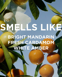 Oranges and green leaves pop against a blue sky and bold white text: SMELLS LIKE BRIGHT MANDARIN FRESH CARDAMOM WHITE AMBER. Perfume Oil in Remi by Rosie Jane captures pure California sunshine—a nod to citrus, sun, and white flowers.