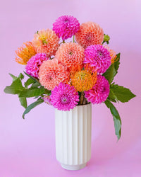 The Monroe Vase in Vintage White by Jungle Club holds vibrant pink, orange, and peach dahlias and pincushion flowers with green leaves, set against a pale pink background.