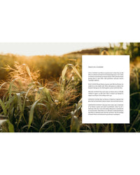 A sunlit field of wildflowers blooms on the cover of "Where Flowers Bloom" by Cozy Publishing. On the right, a white box explains flower philosophy—local cut flowers, organic blooms, imported, and greenhouse-grown varieties.