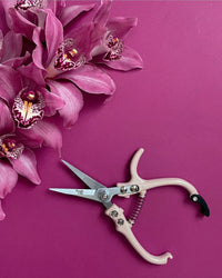 A pair of Jungle Club Pruning Shears in Vanilla rests on a pink surface beside pink orchids, forming a coordinated and vibrant floral arrangement.