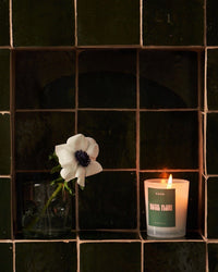 A single white flower in a glass vase sits next to the Hotel Flori Candle by ROEN, made from a coconut soy wax blend, on a dark green tiled shelf.