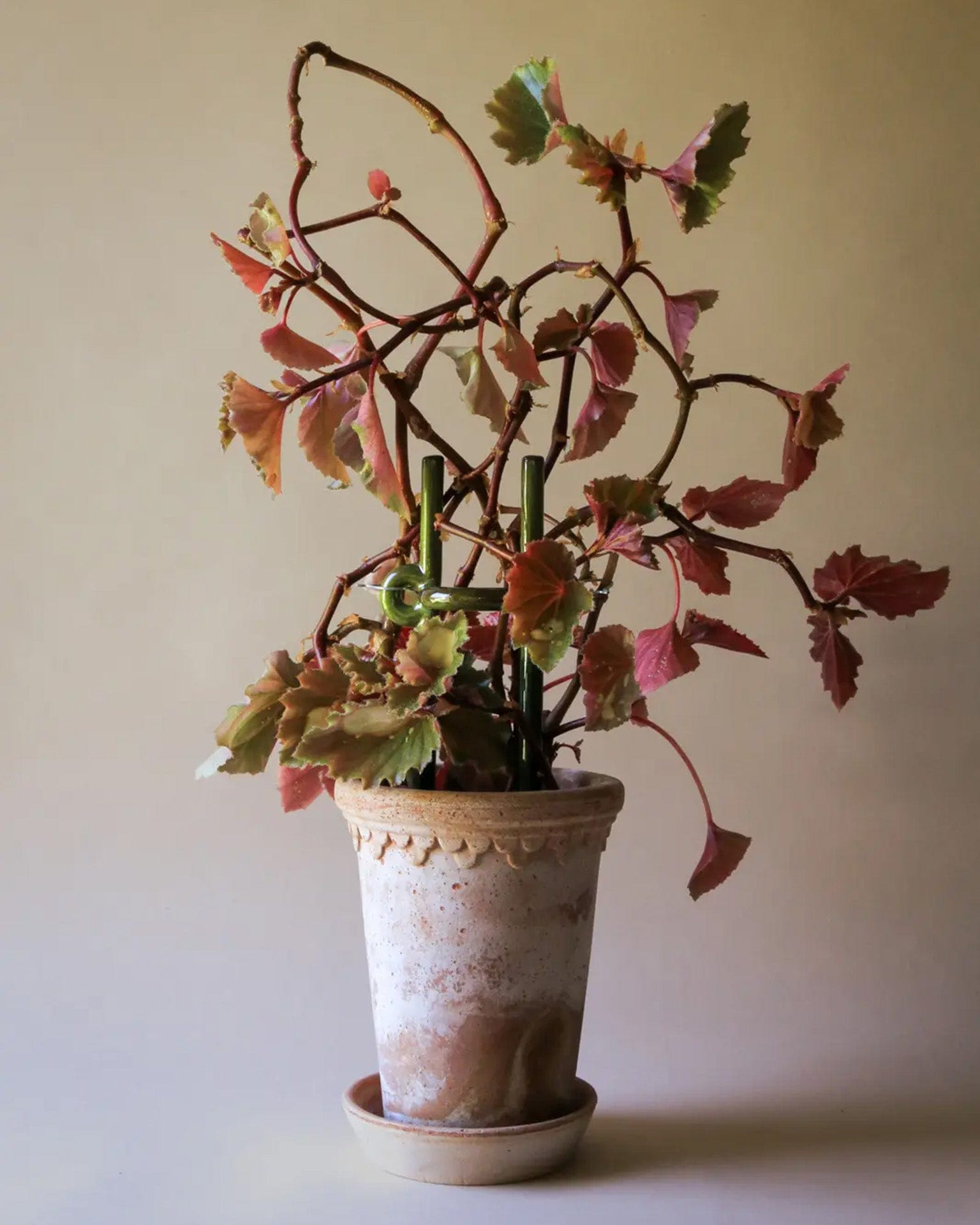 Folk: Hinto Glazed Plant Stake - Thumbnail 2