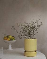 The Bergs Potter Hoff Glazed 5.5 inch Pot in Pale Yellow sits on a table beside a white pedestal fruit bowl and a glass of water, bringing a hint of Scandinavian design to the setting.
