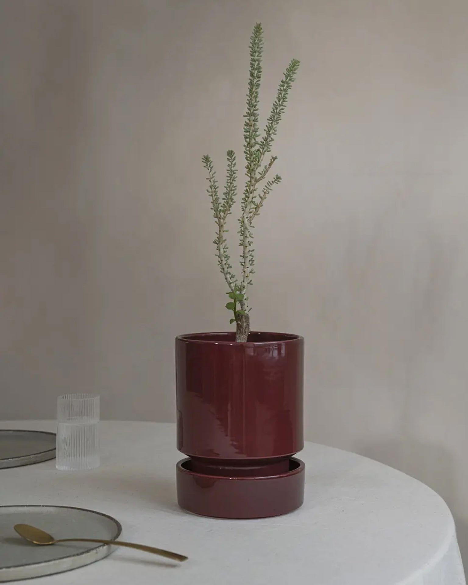 burgundy plant pots Bergs Potter Hoff Glazed 7.1 Inch Pot Burgundy