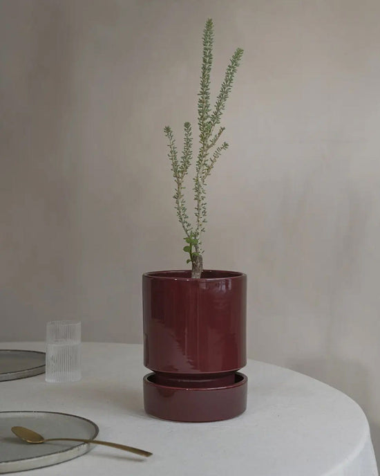 Bergs Potter Hoff Glazed 7.1 inch Pot in Deep Burgundy 