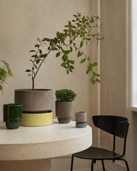 A round white table with potted plants in Bergs Potters Hoff Glazed 7.1 inch Saucer in Pale Yellow sits beside a black chair in a softly lit, neutral-toned room with Scandinavian design accents.