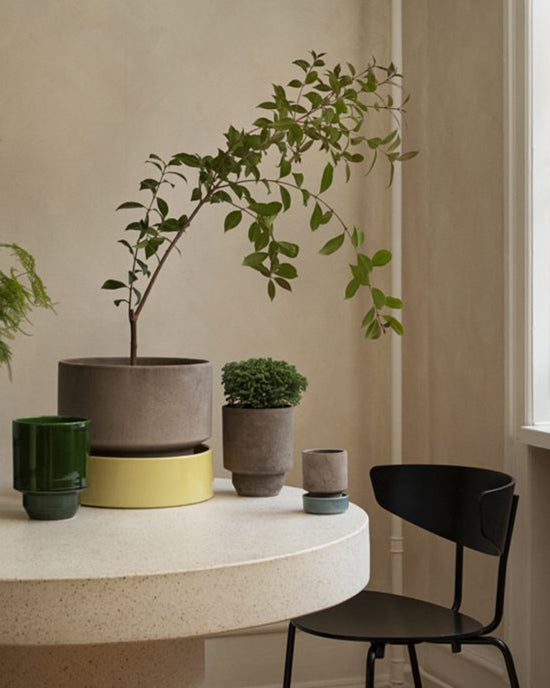 A round white table with potted plants in Bergs Potters Hoff Glazed 7.1 inch Saucer in Pale Yellow sits beside a black chair in a softly lit, neutral-toned room with Scandinavian design accents.