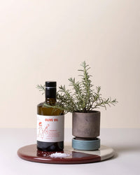 A bottle of olive oil and a small Bergs Potter rosemary plant rest on stacked stoneware dishes, with a Nuna Glazed 11 inch Tray in Sandstone/Deep Burgundy nearby and a small pile of salt on the surface.