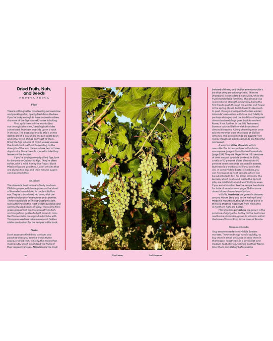 Clusters of green grapes with large leaves appear on a pink background alongside text about dried fruits, nuts, and seeds—an inspiring touch for Sicily, My Sweet from Chronicle Books, perfect for Sicilian desserts and treats.