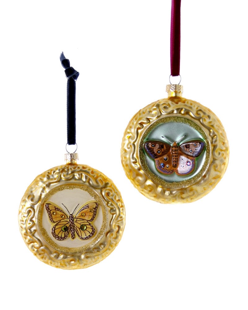 Framed Butterfly Ornament