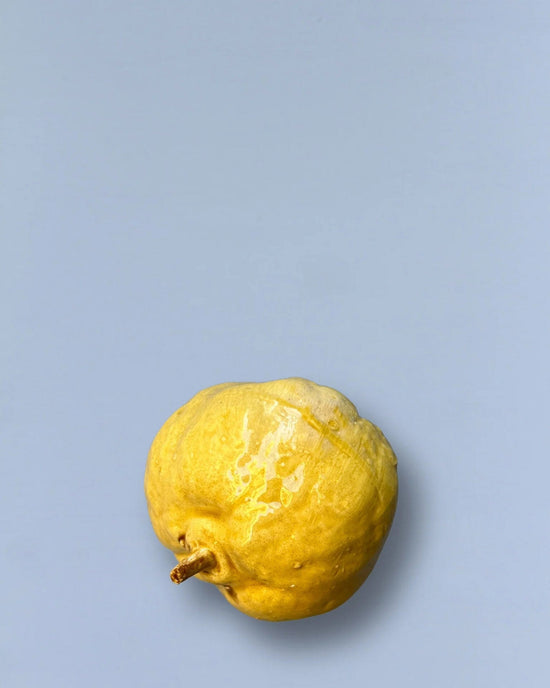 Eturel Madrid Home Ceramic Quince