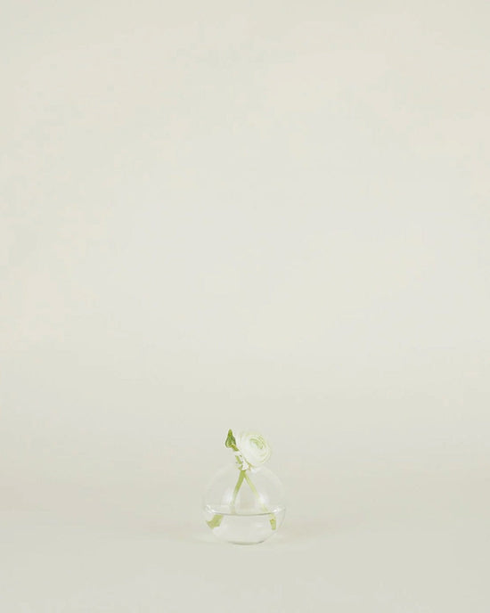 A single white flower with a green stem stands in the Hawkins New York Aurora Sphere Vase in Clear, a round glass vessel crafted from recycled handblown glass, set against a plain light background.