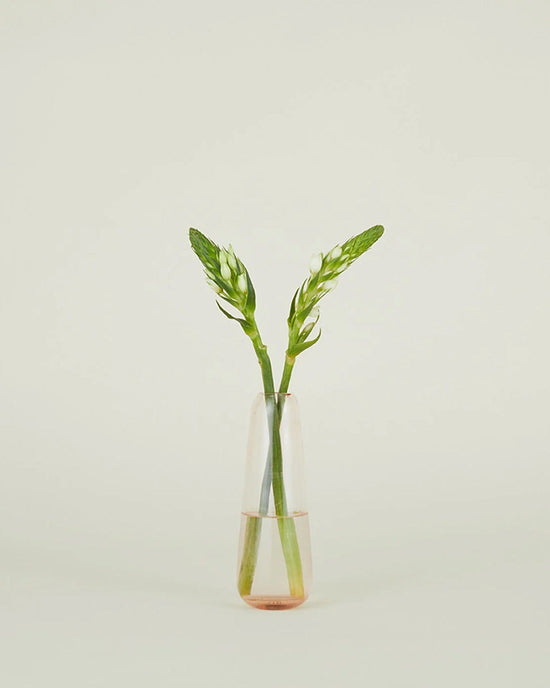 Hawkins New York Aurora Slim Drop Vase in Blush 
