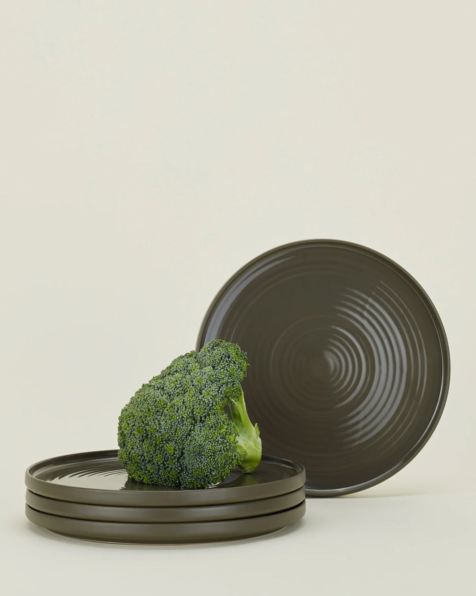 Essential Dinner Plates in Olive - Set of 4
