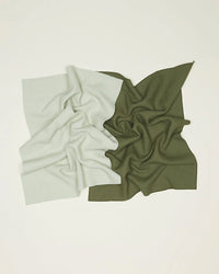 Hawkins New York Home Set of 2 Essential Waffle Dish Towels - Olive + Sage