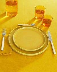 Hawkins New York Set of 4 Essential Glassware in Amber 