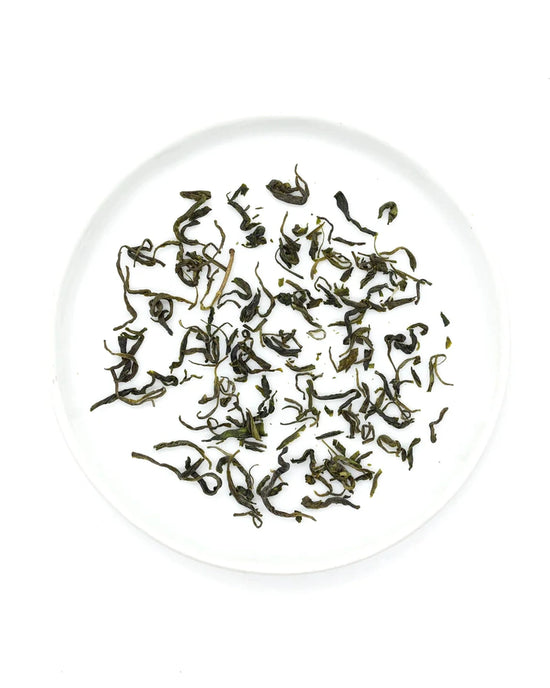 Onyx Coffee Labs Mao Jian Tea | 12 Sachets, featuring loose green tea leaves from Henan Province, are displayed on a white, round plate.