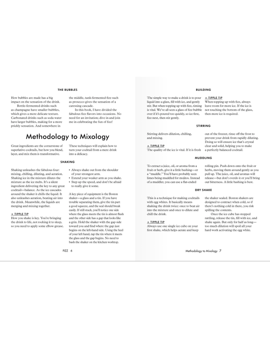 A two-page spread from Fizz by Random House explains mixology methods—shaking, stirring, building, muddling, dry shaking—with tips for each. Offers advice for both cocktails and mocktails in black text on a white background.