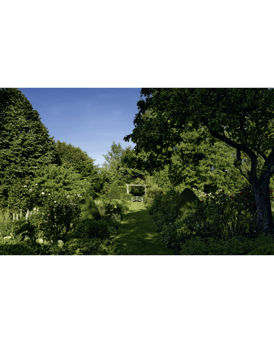 A lush garden with grassy paths and a white gazebo, perfect for entertaining, is surrounded by greenery—capturing the charm of a French country house, as featured in Flower Couture by Random House.