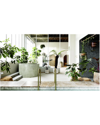 Bring the outdoors into your home design with Outside In by Random House—discover ideas for indoor pools with potted tropical plants, tiered greenery, and natural light pouring through glass walls.