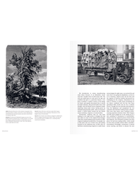 On the left is a black-and-white illustration of a tall tropical plant, while on the right is a black-and-white photo of a delivery truck transporting antique rattan furniture. Product: Rattan by Random House.