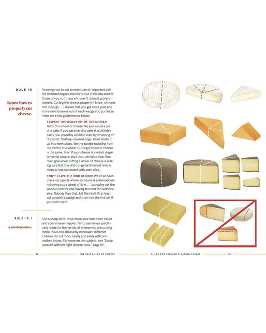 Page from a book  about cheese