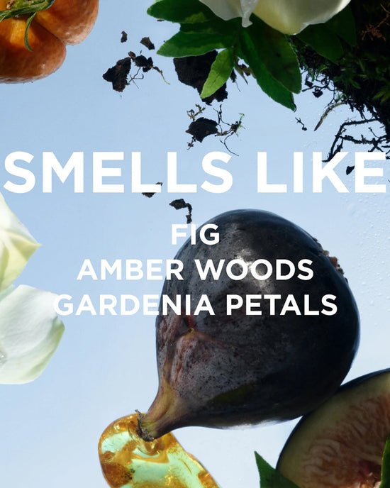 A halved fig, amber, gardenia petals, and soil sit on a light blue background with bold white text: FIG AMBER WOODS GARDENIA PETALS—capturing the concentrated scent of Rosie Jane’s Perfume Oil in James.