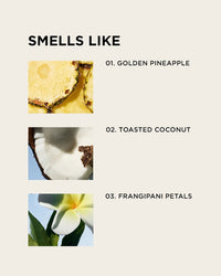 Three labeled images display golden pineapple slices, a halved toasted coconut, and frangipani petals to illustrate the tropical scents of Rosie Janes Eau De Parfume in Missy, which features a toasted coconut fragrance.