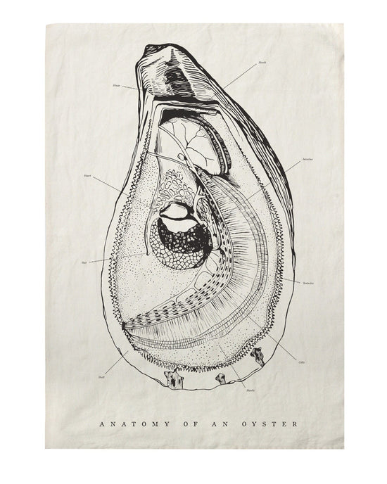 SIR / MADAM Oyster Anatomy Tea Towel 