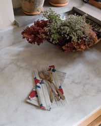 Soil to Studio Home Multi / O/S Supriya Table Napkins S/4